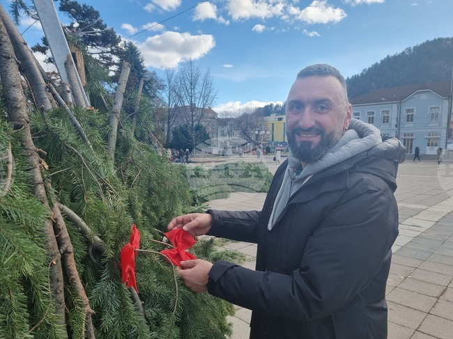 За първи път коледната елха в Кюстендил ще е естествена, но не отрязана