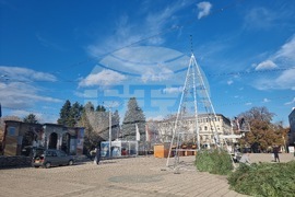 Кюстендил - Коледна елха