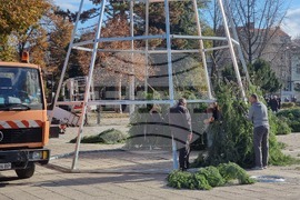 Кюстендил - Коледна елха