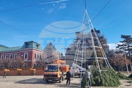 Кюстендил - Коледна елха