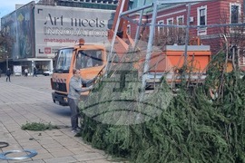 Кюстендил - Коледна елха