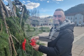 Кюстендил - Коледна елха