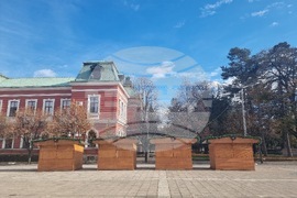 Кюстендил - Коледна елха