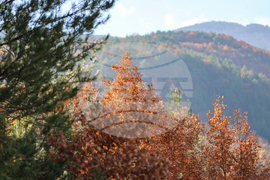 Село Габрово - Трето бригадно командване - празник