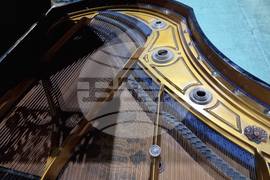 Русе - Държавна опера - роял - дарение