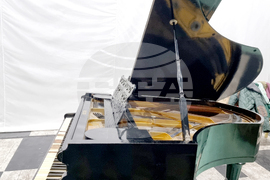 Русе - Държавна опера - роял - дарение