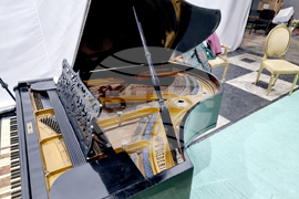 Русе - Държавна опера - роял - дарение