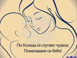 Снимка: Община Елин Пелин