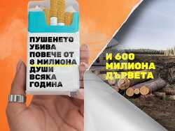 Снимка: РЗИ – Смолян