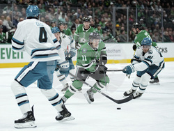 Sharks Stars Hockey