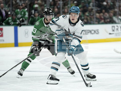Sharks Stars Hockey