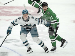 Sharks Stars Hockey