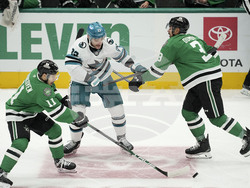 Sharks Stars Hockey