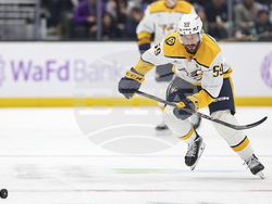 Predators Kraken Hockey