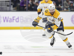 Predators Kraken Hockey