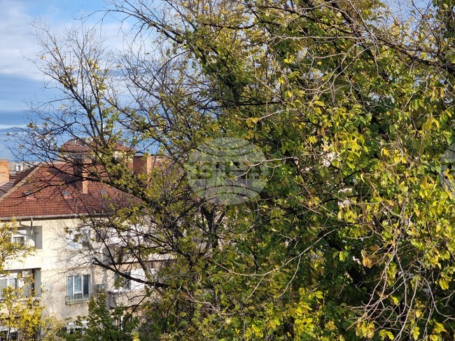 Силен вятър събори дървета и клони в Русенско и спря движението по Дунав мост за около половин час 