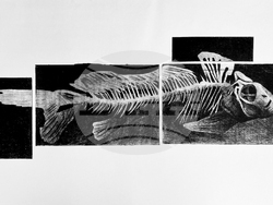 Творби на Зоран Мише и негови ученици ще бъдат показани в галерия „Графикарт“. Снимка: организатори