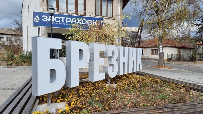 Община Брезник инвестира в образование, енергийна ефективност и пътна безопасност, каза секретарят на общината Иванна Венева
