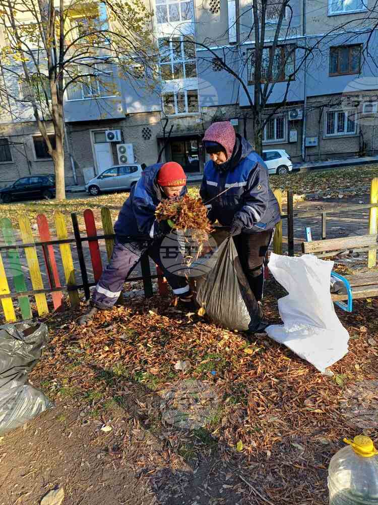 Община Шумен: Продължават дейностите по разчистване на паднали клони