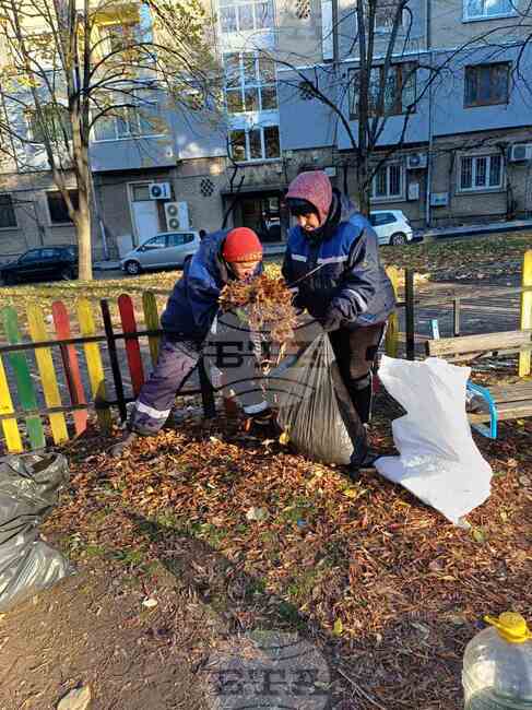 Община Шумен: Продължават дейностите по разчистване на паднали клони