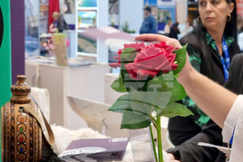 Румъния - България - международно туристическо изложение