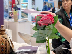 Румъния - България - международно туристическо изложение