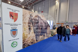 Румъния - България - международно туристическо изложение