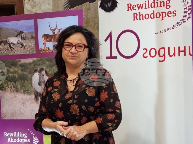 Кърджали - Фондация „По-диви Родопи“ - годишнина