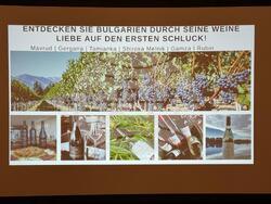 Австрия - Виена - Български съюз по балнеология и СПА туризъм