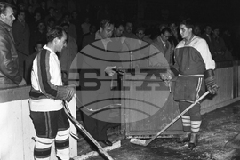 Ледената пързалка „Дружба“ в София