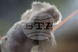 Благоевград - Дара - концерт