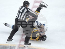 Utah Bruins Hockey