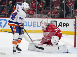 Islanders Red Wings Hockey