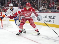Islanders Red Wings Hockey