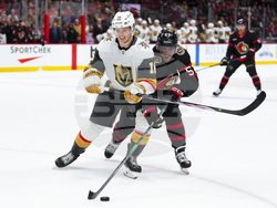 Golden Knights Senators