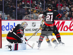 Golden Knights Senators Hockey