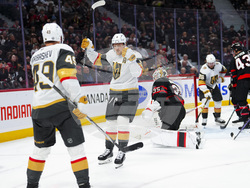 Golden Knights Senators Hockey