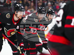 Golden Knights Senators Hockey