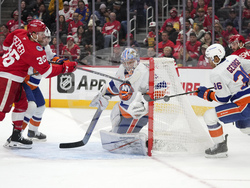 Islanders Red Wings Hockey