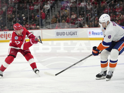 Islanders Red Wings Hockey