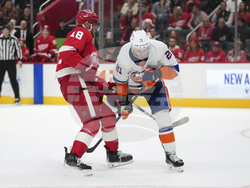 Islanders Red Wings Hockey