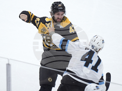 Utah Bruins Hockey
