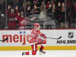 Islanders Red Wings Hockey