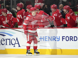 Islanders Red Wings Hockey