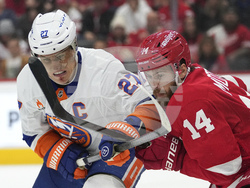 Islanders Red Wings Hockey