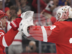 Islanders Red Wings Hockey