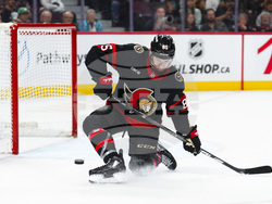 Golden Knights Senators Hockey