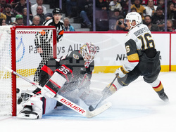 Golden Knights Senators Hockey