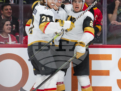Golden Knights Senators Hockey