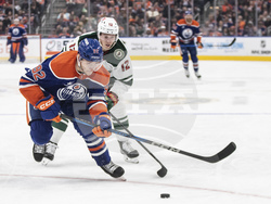 Wild Oilers Hockey